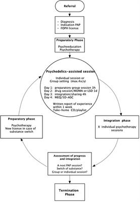 Using a MDMA- and LSD-Group Therapy Model in Clinical Practice in Switzerland and Highlighting the Treatment of Trauma-Related Disorders